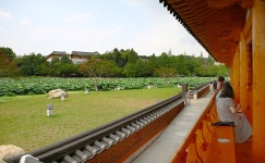 전주 나들이 > 문화시설 | 연화정도서관 글보기 비짓전주
