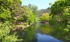 전주 나들이 > 주요명소 > 자연·생태 | 맏내호수(맏내제) 글보기 비짓전주