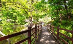 전주 나들이 > 주요명소 > 자연·생태 | 맏내호수(맏내제) 글보기 비짓전주