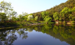 전주 나들이 > 주요명소 > 자연·생태 | 맏내호수(맏내제) 글보기 비짓전주