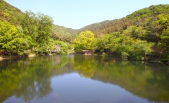 전주 나들이 > 주요명소 > 자연·생태 | 맏내호수(맏내제) 글보기 비짓전주
