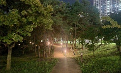 전주 나들이 > 주요명소 > 자연·생태 | 세병공원 글보기 비짓전주