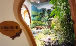 전주 나들이 > 문화시설 | 전주자연생태관 글보기 비짓전주