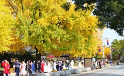 전주 나들이 > 주요명소 > 주요관광지 | 전주한옥마을 글보기 비짓전주