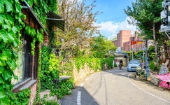 전주 나들이 > 주요명소 > 주요관광지 | 서학동 예술마을 글보기 비짓전주