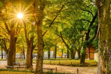 전주 이야기 > 여행갤러리 | 한옥마을 경기전 글보기 비짓전주