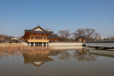 전주 이야기 > 여행갤러리 | 덕진공원 글보기 비짓전주