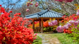 전주 이야기 > 여행갤러리 | 완산칠봉 꽃동산 글보기 비짓전주