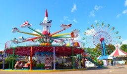 Jeonju Excursion > Attractions > Nature/Ecology | Jeonju Zoo 글보기 VISIT JEONJU