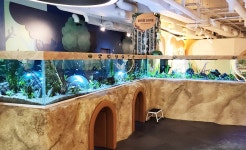 Recommended trip > Tour of This Month | Jeonju Eco Museum 글보기 VISIT JEONJU