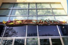 全州へお出かけ > 文化施設 | 全州自然生態博物館 글보기 VISIT JEONJU