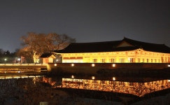 전주 이야기 > 지금 전주