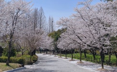 전주 이야기 > 지금 전주