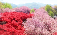 전주 이야기 > 지금 전주