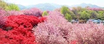 전주 이야기 > 지금 전주 | [2022.05] 완산꽃동산 글보기 비짓전주