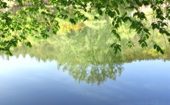 전주 이야기 > 지금 전주