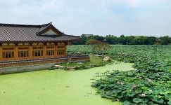 전주 이야기 > 지금 전주