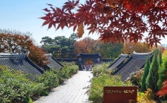 전주 이야기 > 지금 전주