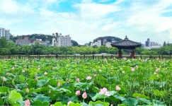 전주 이야기 > 지금 전주