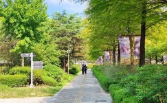 전주 이야기 > 지금 전주