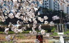 이용안내 > 통합검색 비짓전주