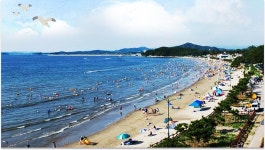 [ 춘장대해수욕장 > 서천8경 > 관광 > ]