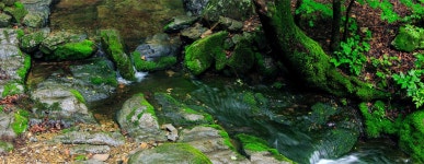 태백관광(영문)