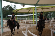 승마장 갤러리>승마장>안전생활>영광군청