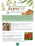 농업기술>농업기술정보>농업기술센터 봄철 기관지․폐 건강에 좋은 토종약초 추천