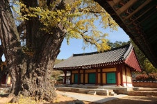 스포츠/레저/공원>관광명소>영광군 문화관광
