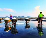 스포츠/레저/공원>관광명소>영광군 문화관광