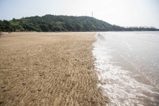바다/섬/해안>관광명소>영광군 문화관광