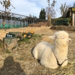 체험 > 레저・체험 > 관광명소 > 강릉시 관광포털