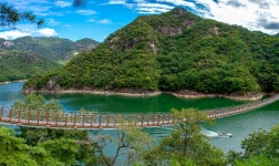 버스 지원특가/약초술 제천 옥순봉출렁다리, 의림지 치유숲길, 청풍문화재단지 : 인터파크투어