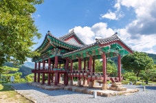 버스 지원특가/약초술 제천 옥순봉출렁다리, 의림지 치유숲길, 청풍문화재단지 : 인터파크투어