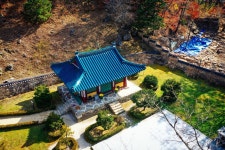 버스 태백 해바라기, 정암사, 함백산 만항재 야생화 당일여행 : 인터파크투어