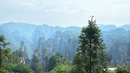 잊지 못할 감동, 장가계 | NOL 인터파크투어 이벤트혜택존