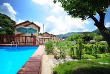 객실에서 즐기는 벚꽃 놀이! 벚꽃 명당 호텔 BEST | NOL 인터파크투어 프리야 여행정보 [대한민국>서울특별시] 이런 여행 어때요! 객실에서... 