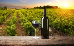 발 도르차 | NOL 인터파크투어 프리야 여행정보 [이탈리아>토스카나] 여기 가고싶어요! [발 도르차] 발 도르차(오르챠 계곡)은 이탈리아 시에나... 