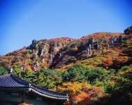 [글라스하우스] 세계적으로 유명한 건축가 안도 타다오가 설계한 곳으로1층 파랑갤러리와 패스트푸드, 2층은 일출과 일몰의 장관...