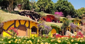 동화나라 와이너리 | NOL 인터파크투어 프리야 여행정보 [베트남>달랏] 여기 가고싶어요! [동화나라 와이너리] 동화나라 와이너리는 호빗 마을을... 