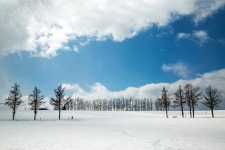 [북해도 4일]힐링온천 2박+하얀설경/비에이