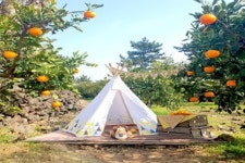 ♠제주실속여행♠ 카멜리아힐/노리매파크/족욕체험 2박3일