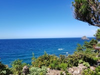 [전국셔틀가능][후포항] 울릉도 패키지 3일