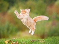 富士ヒューマンテック株式会社のアルバイト・バイト求人情報｜【タウンワーク】でバイトやパートのお仕事探し ＊＊時給1500円!!... 