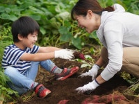就労学習型Ｒeno　wellness　kids大泉太田教室のアルバイト・バイト求人情報｜【タウンワーク】でバイトやパートのお仕事探し