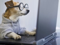 北里メディカルサービス株式会社　北本事業部のアルバイト・バイト求人情報｜【タウンワーク】でバイトやパートのお仕事探し ＜人気... 