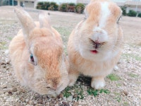 株式会社ＫＤＰ(派27-300049)　※広告Ｎo.230012-04のアルバイト・バイト求人情報｜【タウンワーク】でバイトやパートのお仕事探し... 