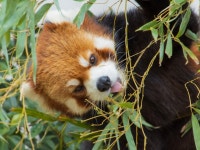 株式会社ＫＤＰ(派27-300049)　※広告Ｎo.230029-04のアルバイト・バイト求人情報｜【タウンワーク】でバイトやパートのお仕事探し... 