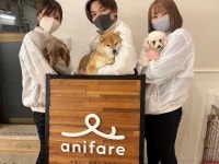 一般社団法人アニマルウェルフェアのアルバイト・バイト求人情報｜【タウンワーク】でバイトやパートのお仕事探し 　＜5月末open... 